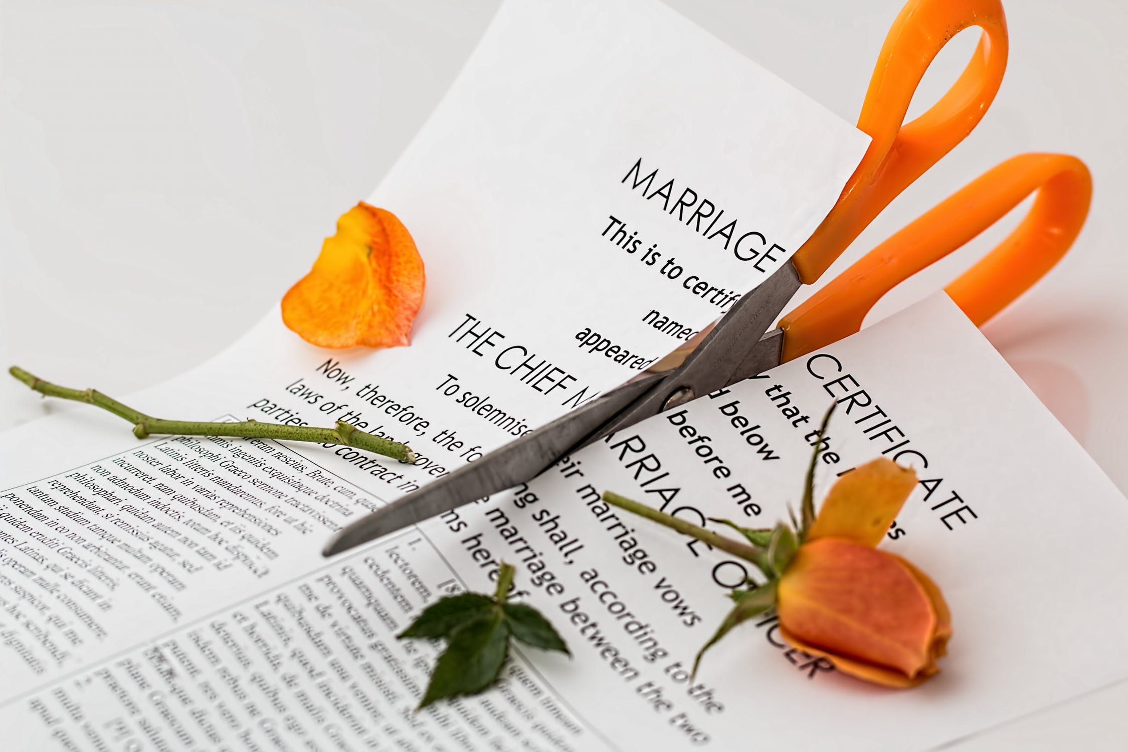 Divorce - Torn Up Marriage Certificate